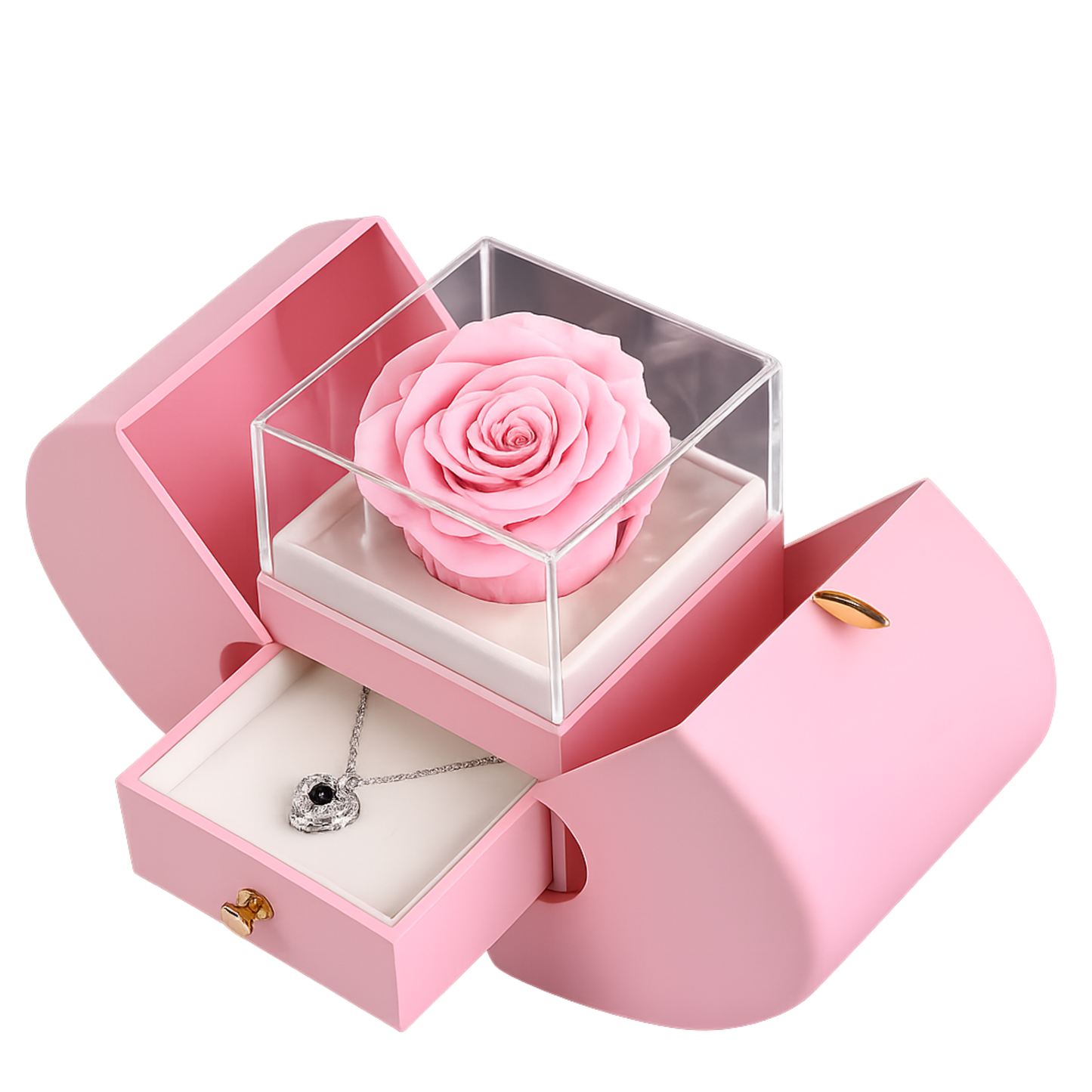 Collar de Rosa Real Preservada