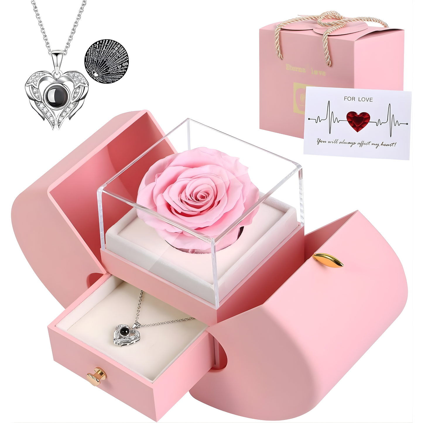 Collar de Rosa Real Preservada